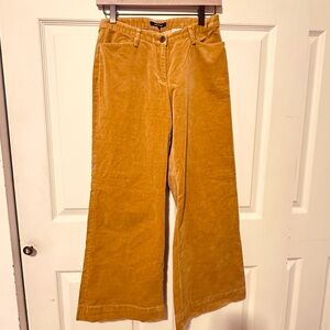 Jayro | Pants | Golden Velour Wide Leg Pants